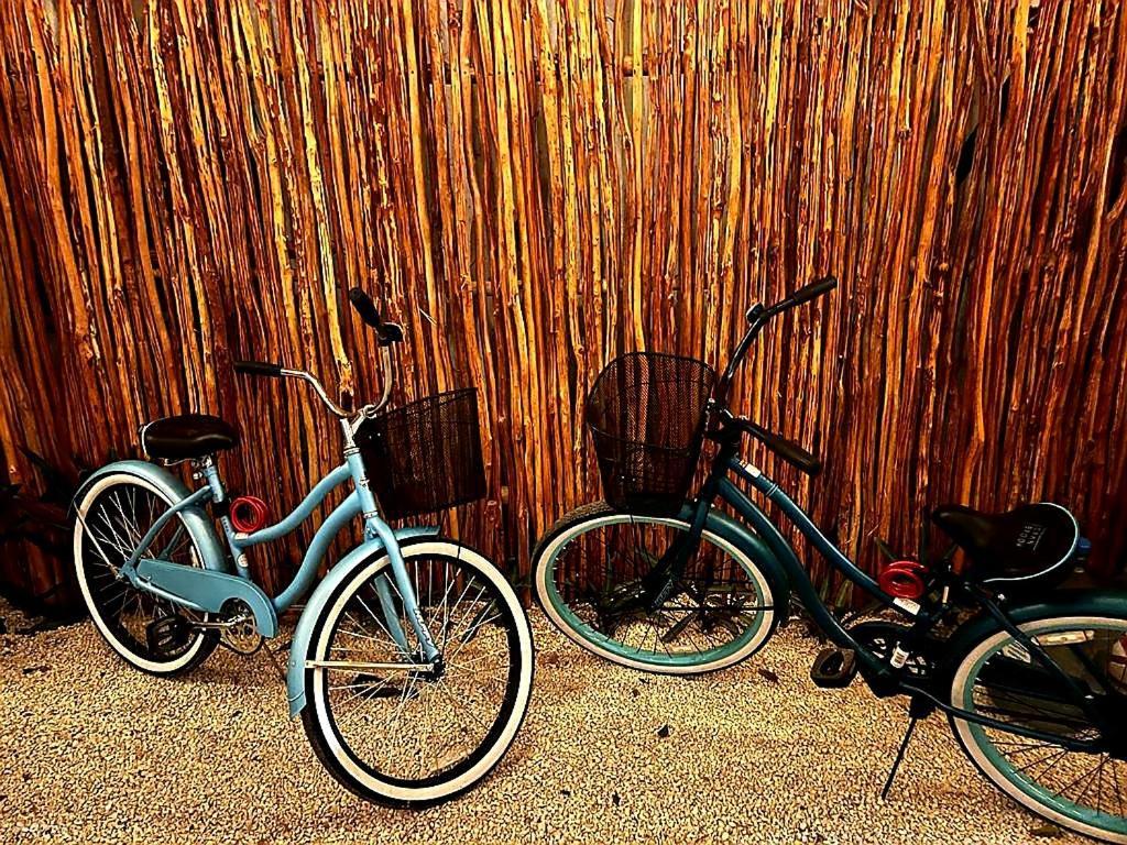 Hotel Soi Bacalar Exteriér fotografie
